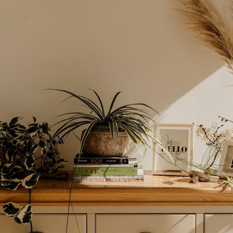 bureau top decorated with potted plants, books and framed pictures